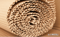 到2029年，數(shù)字印刷包裝市場(chǎng)價(jià)值462億美元